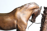 Bronze Orientaliste Cheval Au Palmier De Mêne XIXème